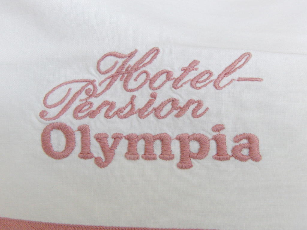 Hotel Olympia Bad Orb Extérieur photo